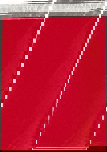 Courier Mailing Envelope: 14-1/2